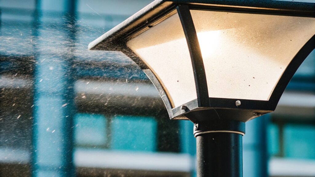 lampara exterior casa vecteezy macro photography of dust on a city street lamp with the 55366264