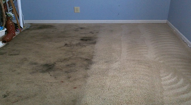 carpet cleaning 1 dining room